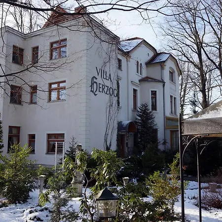 Hotel Herzog