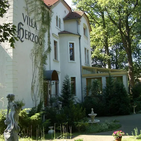 Отель Herzog