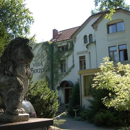 Herzog Дрезден