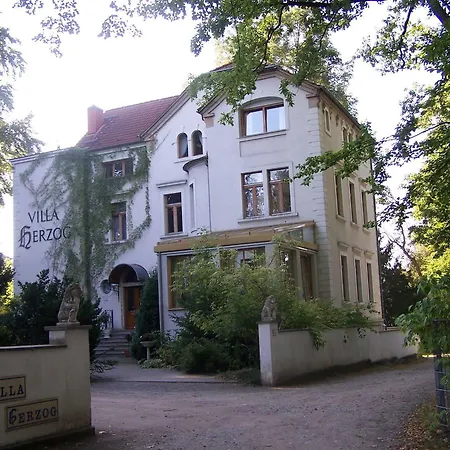 Herzog Отель